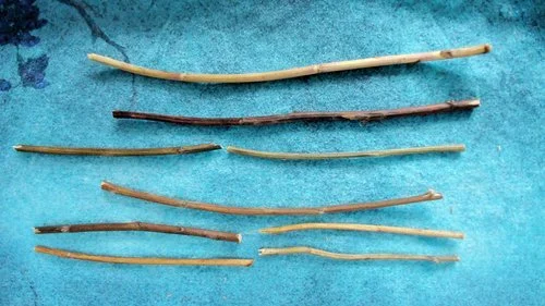 Wind Over Mountain represents Development in the I-Ching