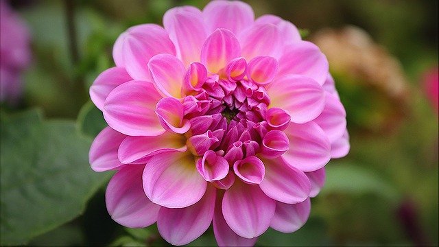 Sacred Geometry Distance Reiki Attunement