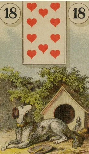 The dog in the lenormand deck