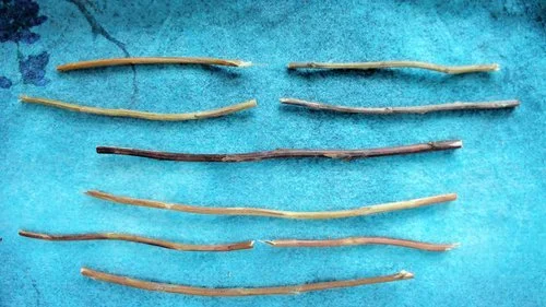 Thunder Over Fire represents Abundance in the I-Ching