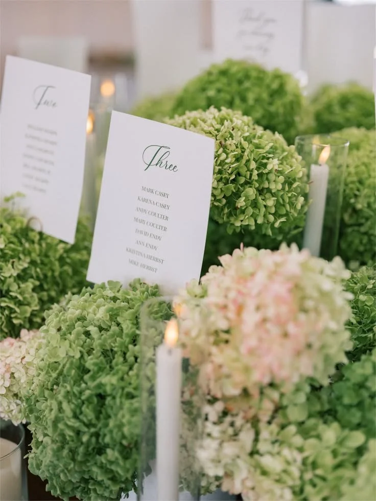 Late Summer wedding_ Sunshine, hydrangeas, and… (1).jpeg