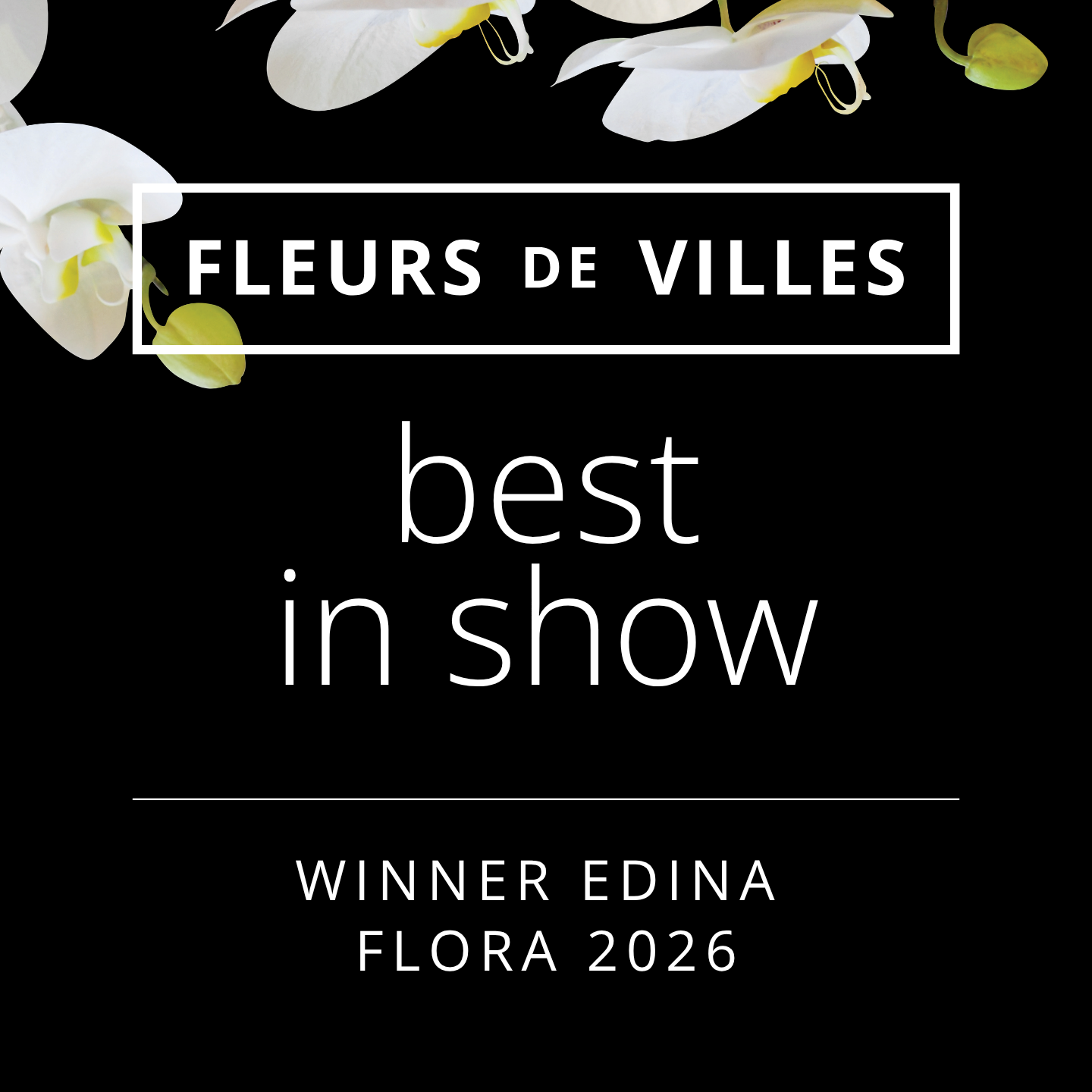 Black background with white orchids in the top left corner. The text says "Fleurs de Villes" within a white rectangle, then "best in show" in large white letters, and at the bottom, it says "Winner Edina Flora 2026" in white.