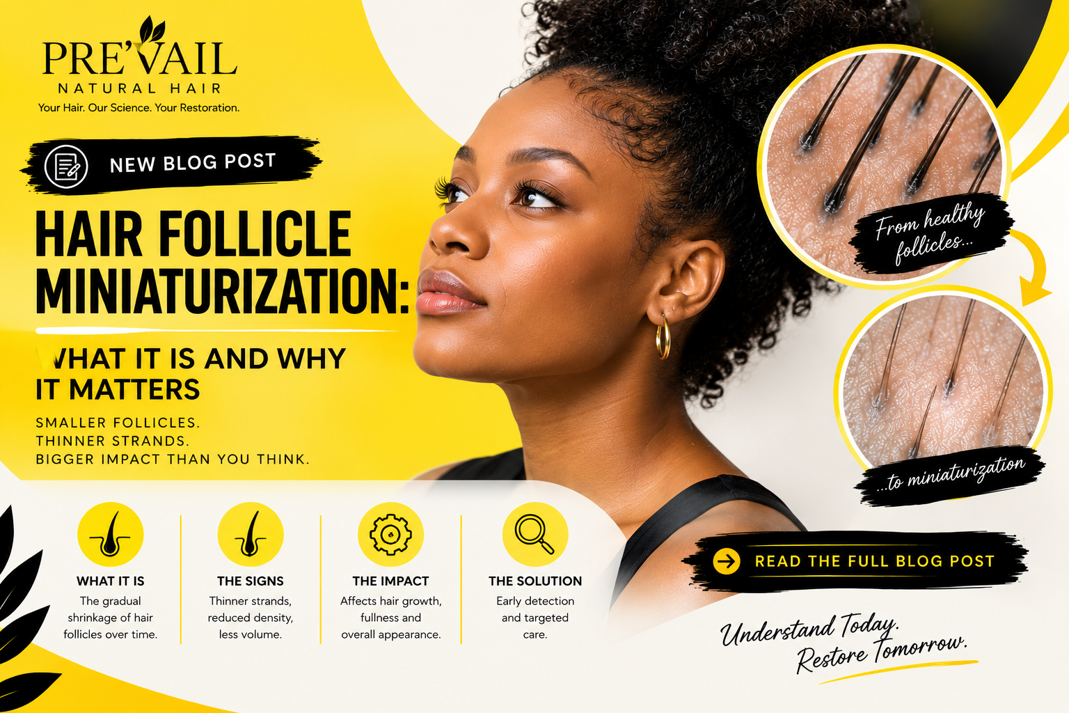 Hair Follicle Miniaturization: What It Is and Why It Matters