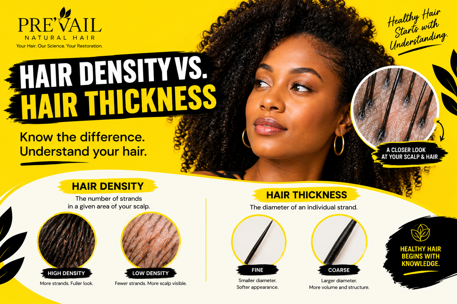 Hair Density vs. Hair Thickness: What’s the Difference?