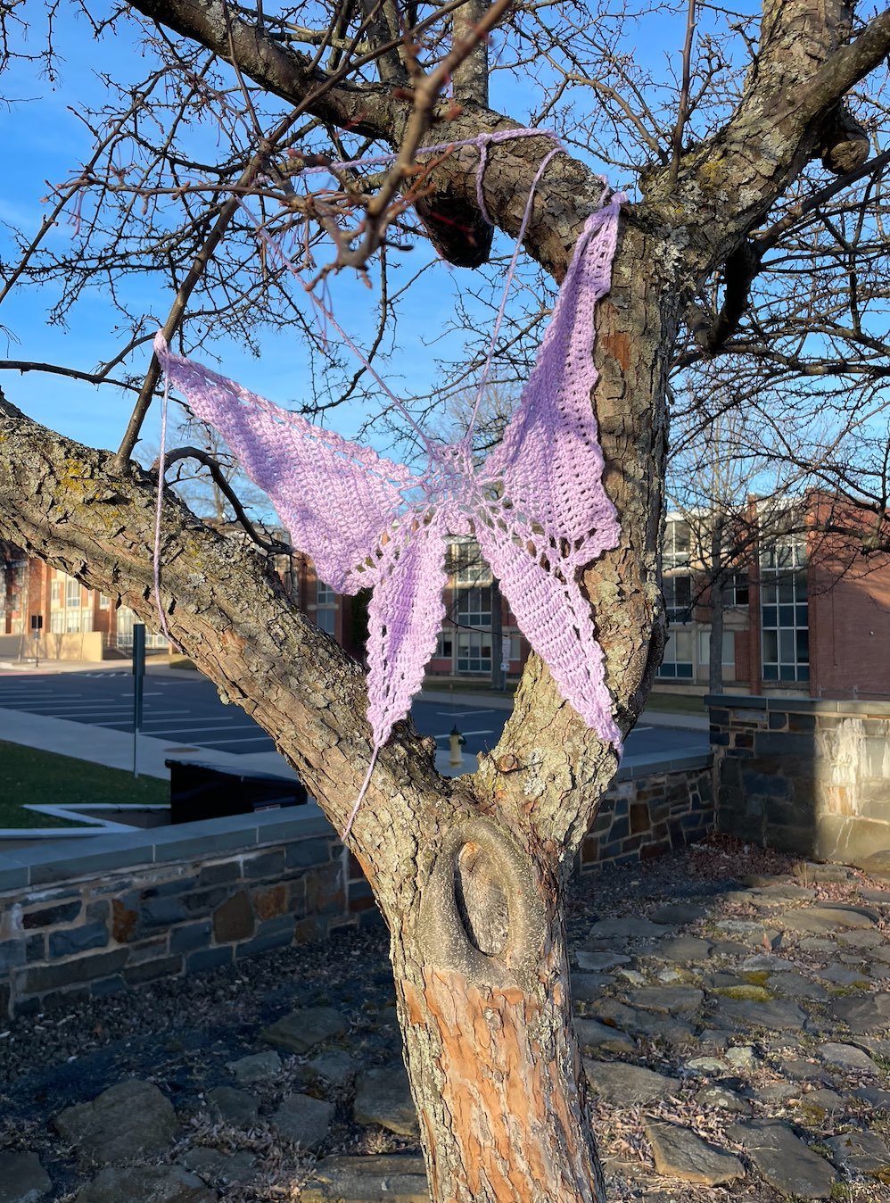 Purple Butterfly.jpg