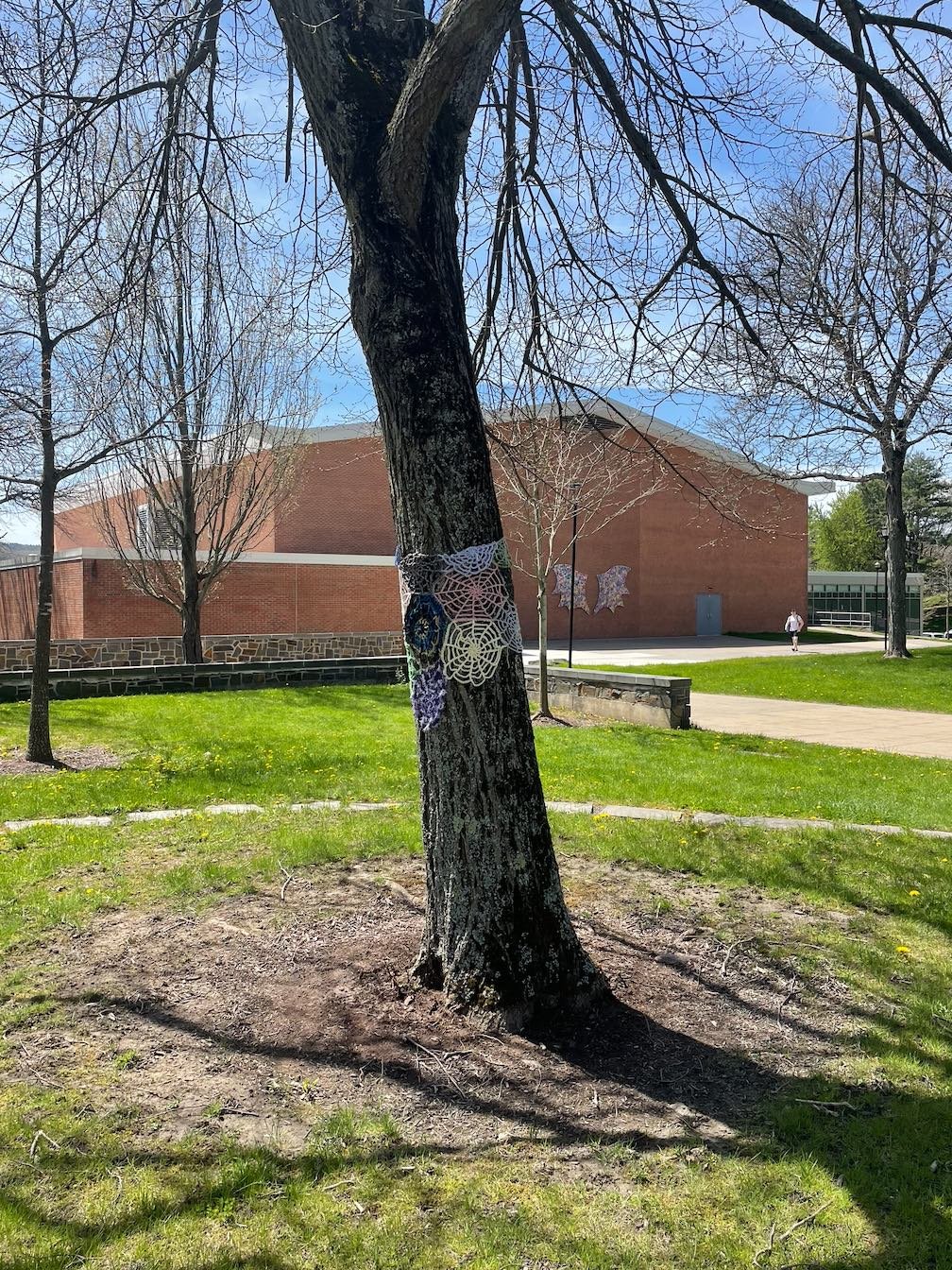 SpiderWebs.jpg
