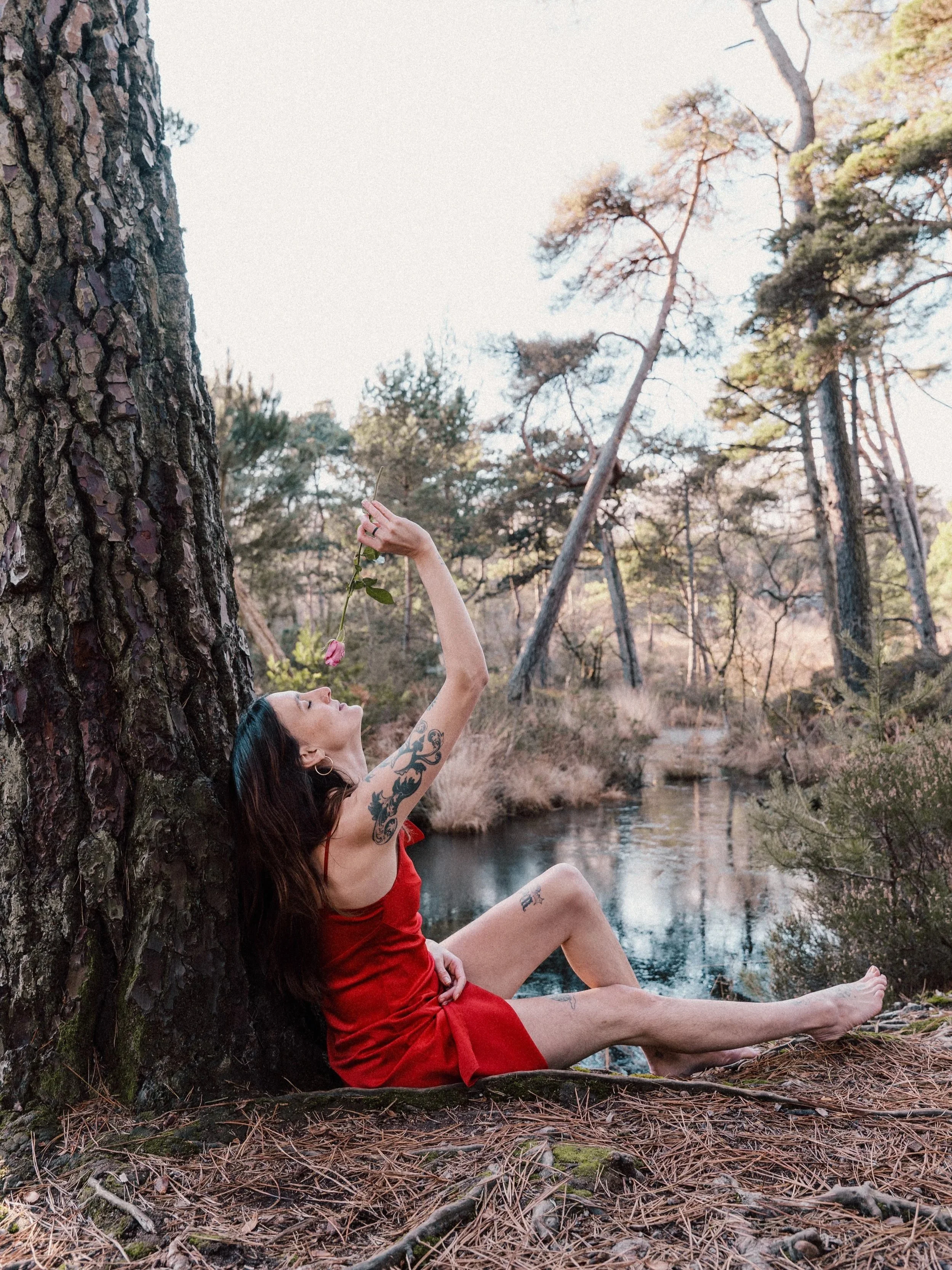 Alice Boydell, Evolutionary Astrologer