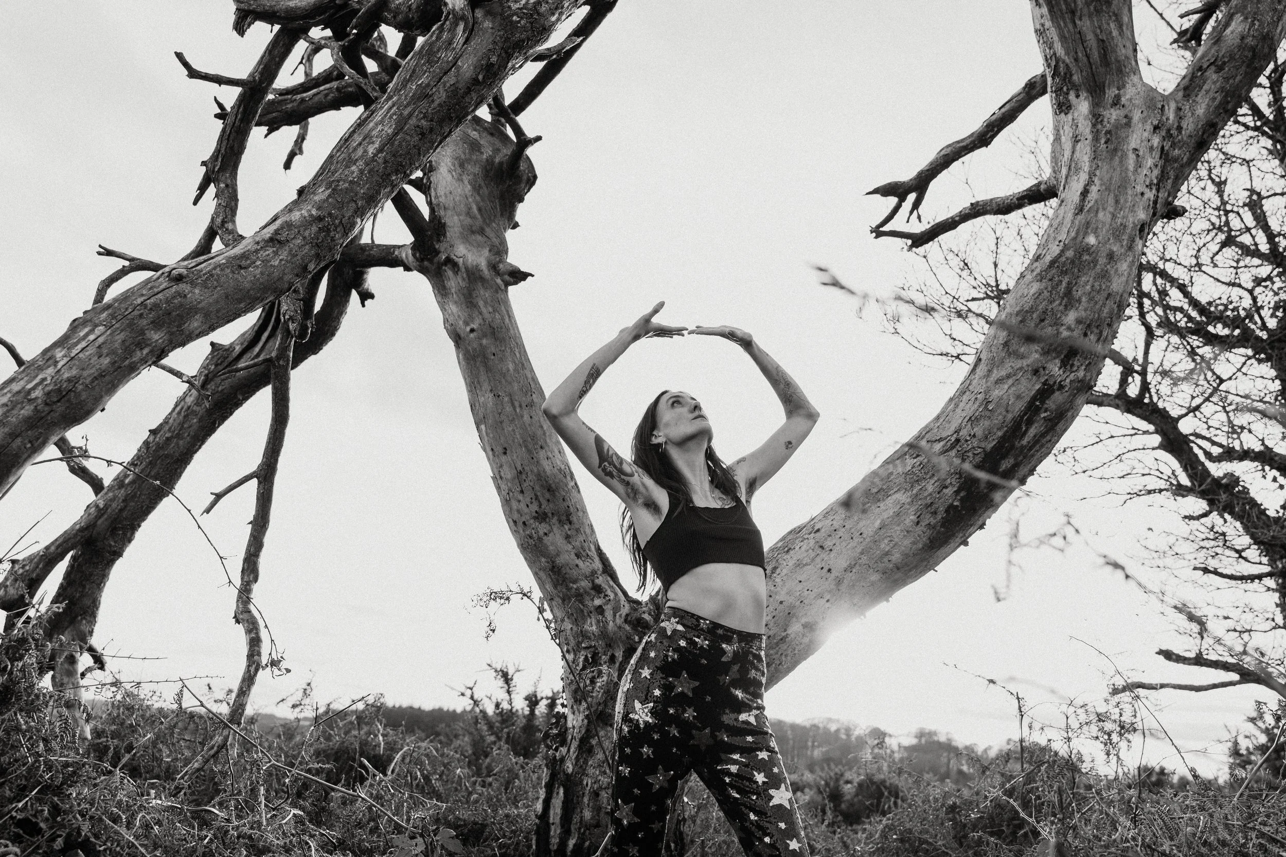 Alice Boydell, Evolutionary Astrologer. Reading your birthchart to give you more clarity, purpose and direction in yout life