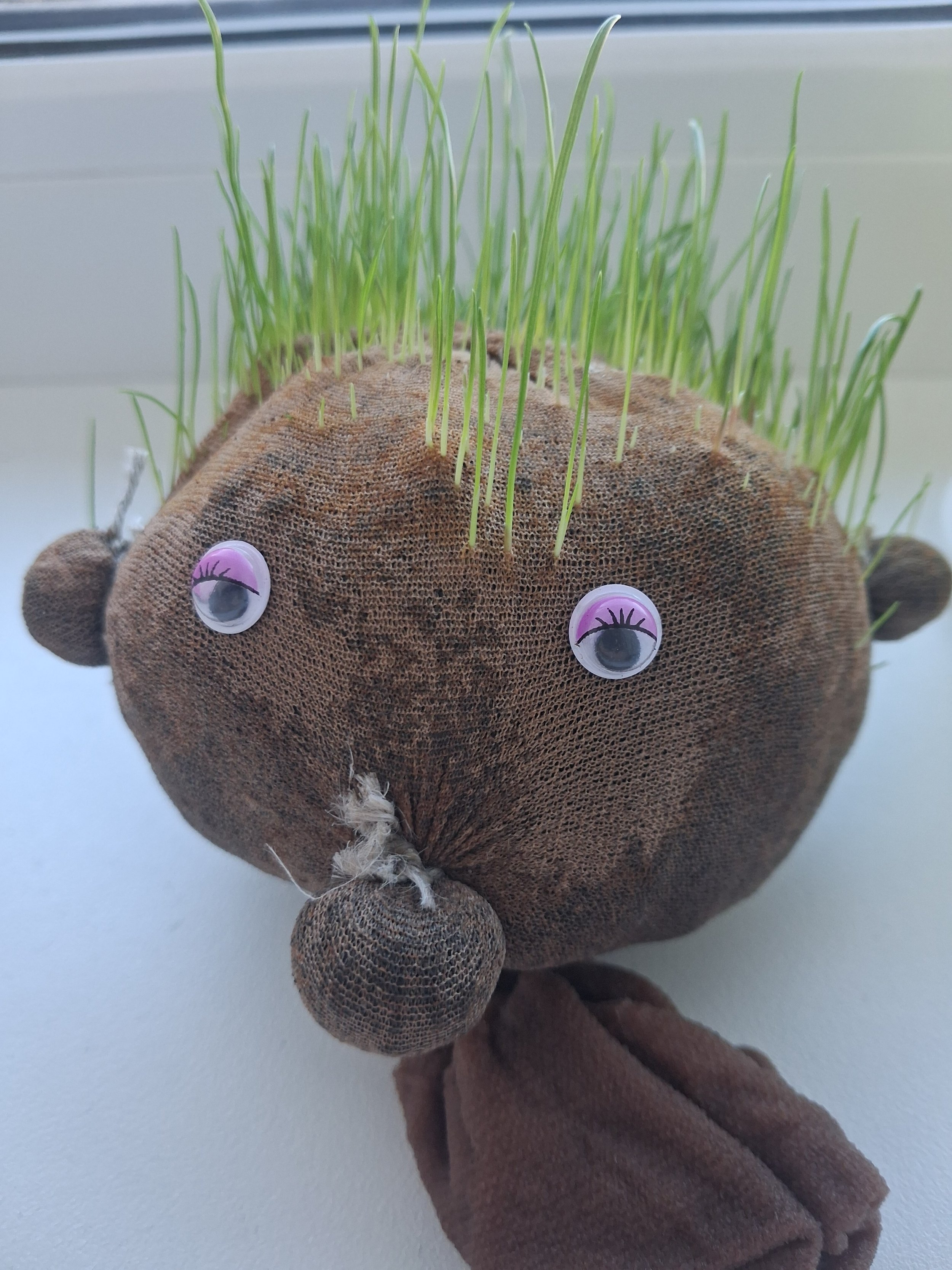 Tegevusterapeut soovitab: meisterdame koos murupea (ehk Peetsu)