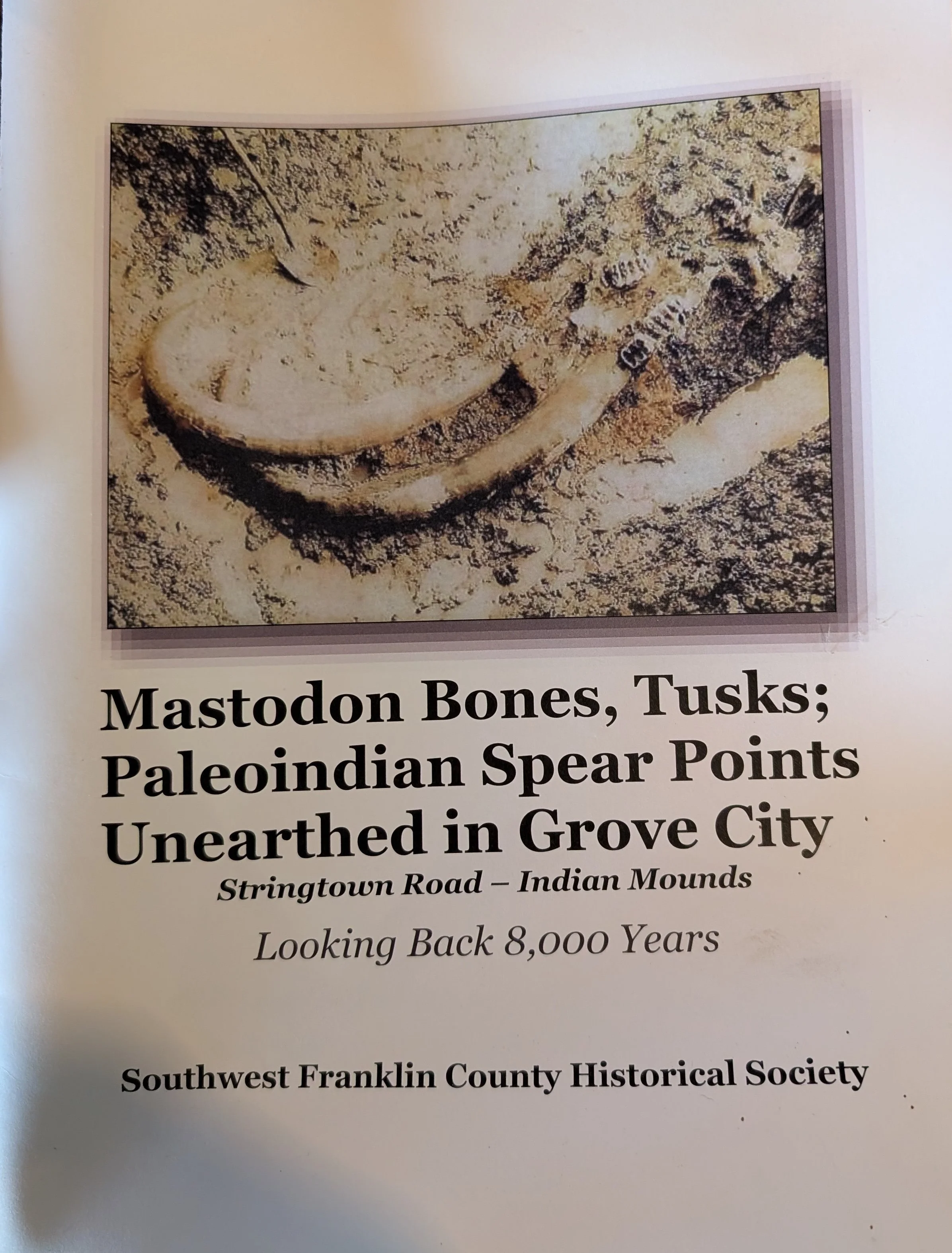 Mastodon Bones, Tusks; Paleoindian Points.jpg