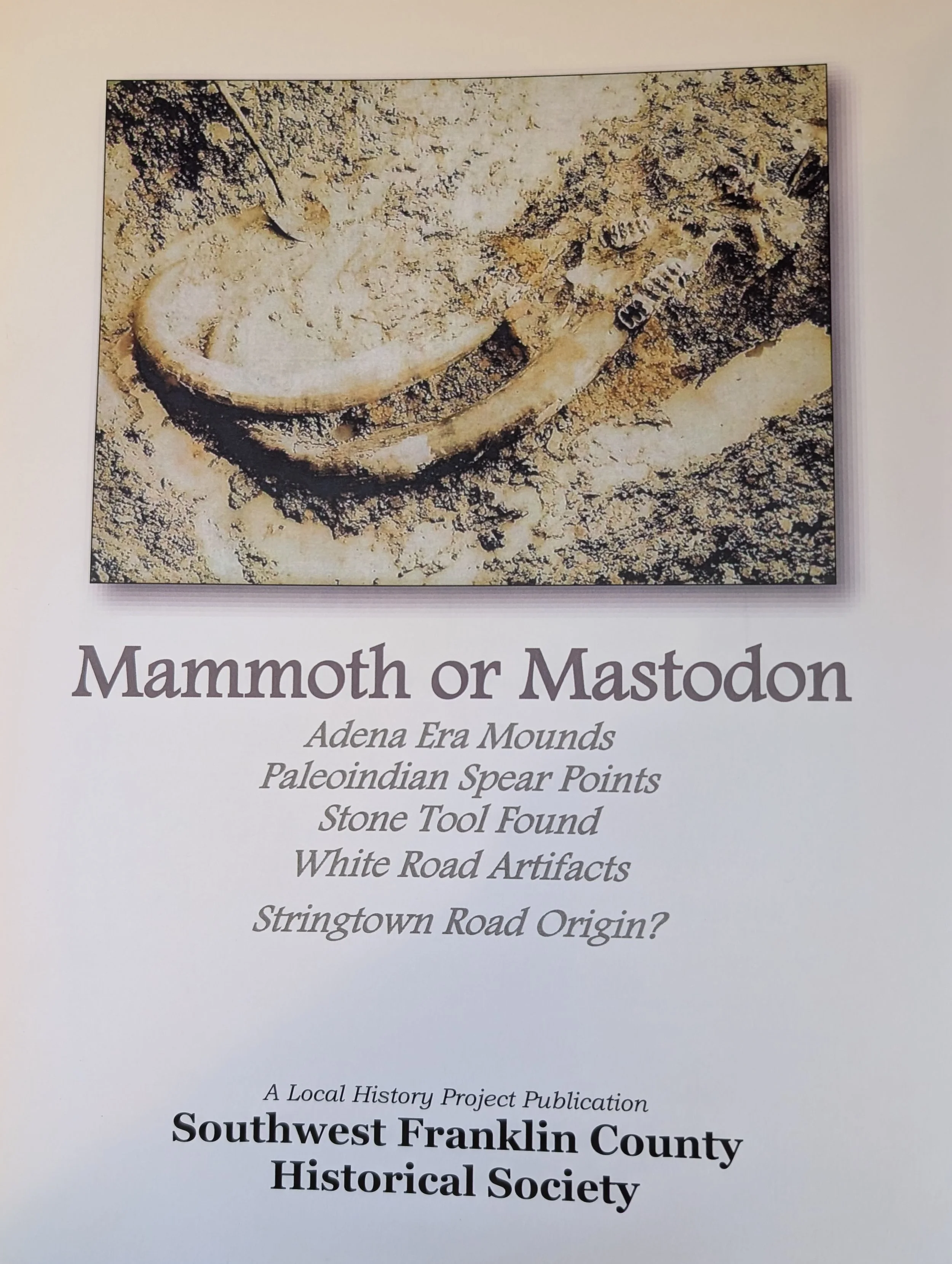 Mammoth or Mastodon.jpg