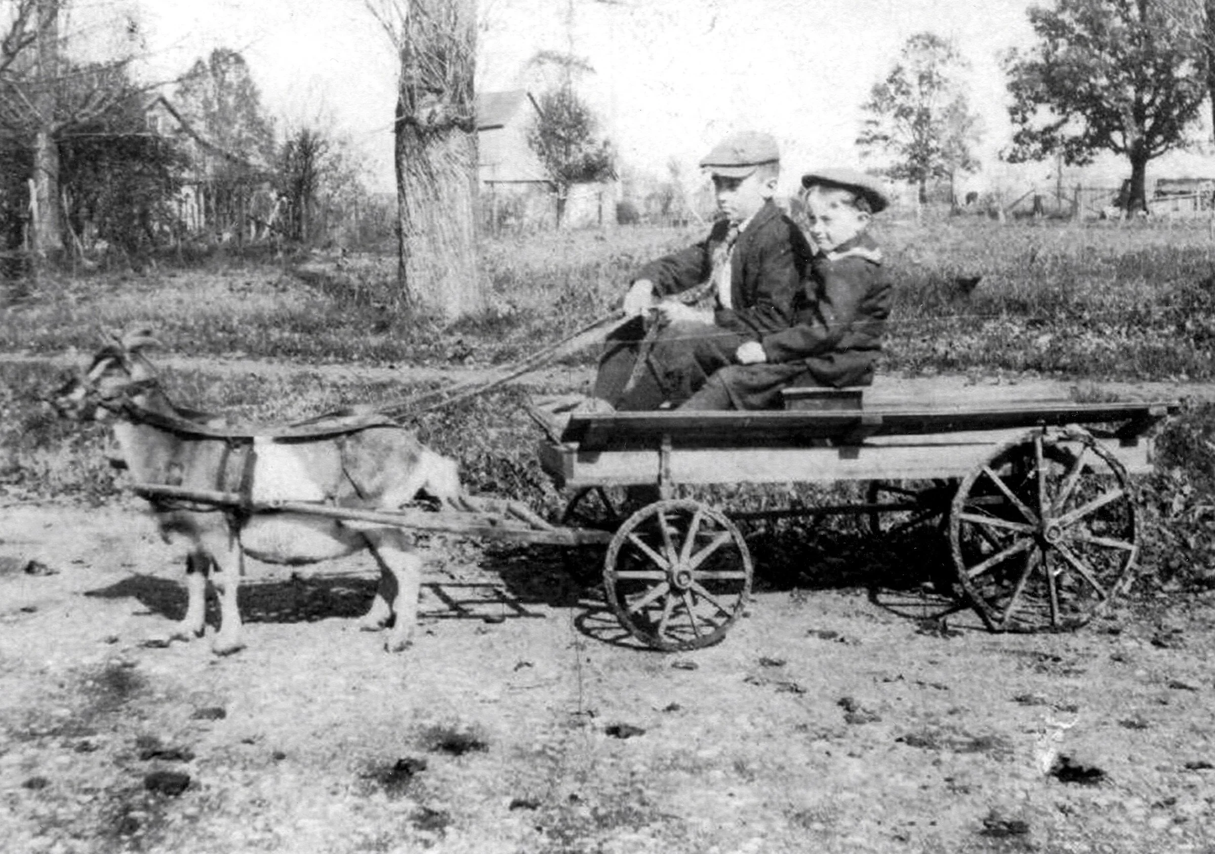 Instead of riding an ATV, would you have enjoyed taking a friend for a ride in your goat cart?
