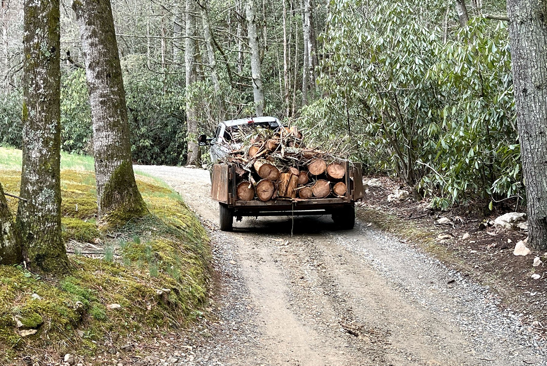 Lumberjack Dump Trailer at Whisper Mountain Camp IMG_0739.jpg
