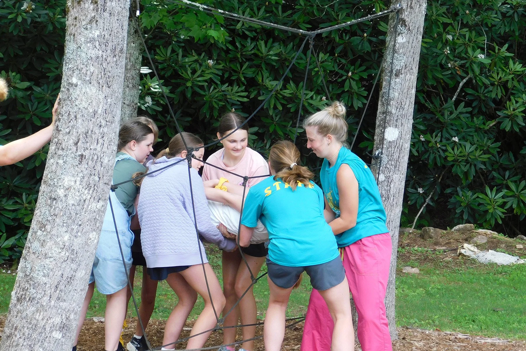 Cadence Summer Spider Web.jpg
