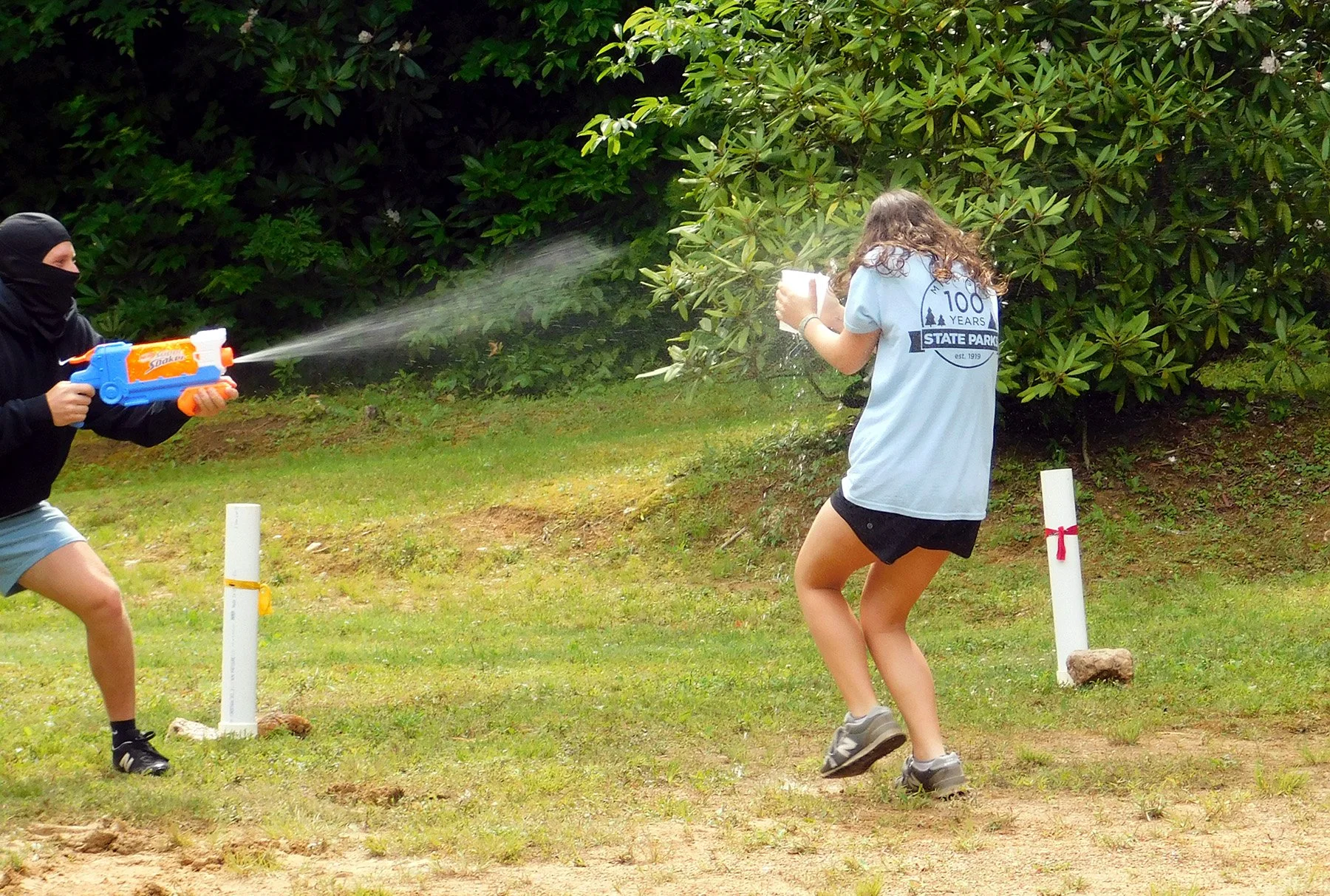 Cadence Summer Tree Ninja Spray.jpg