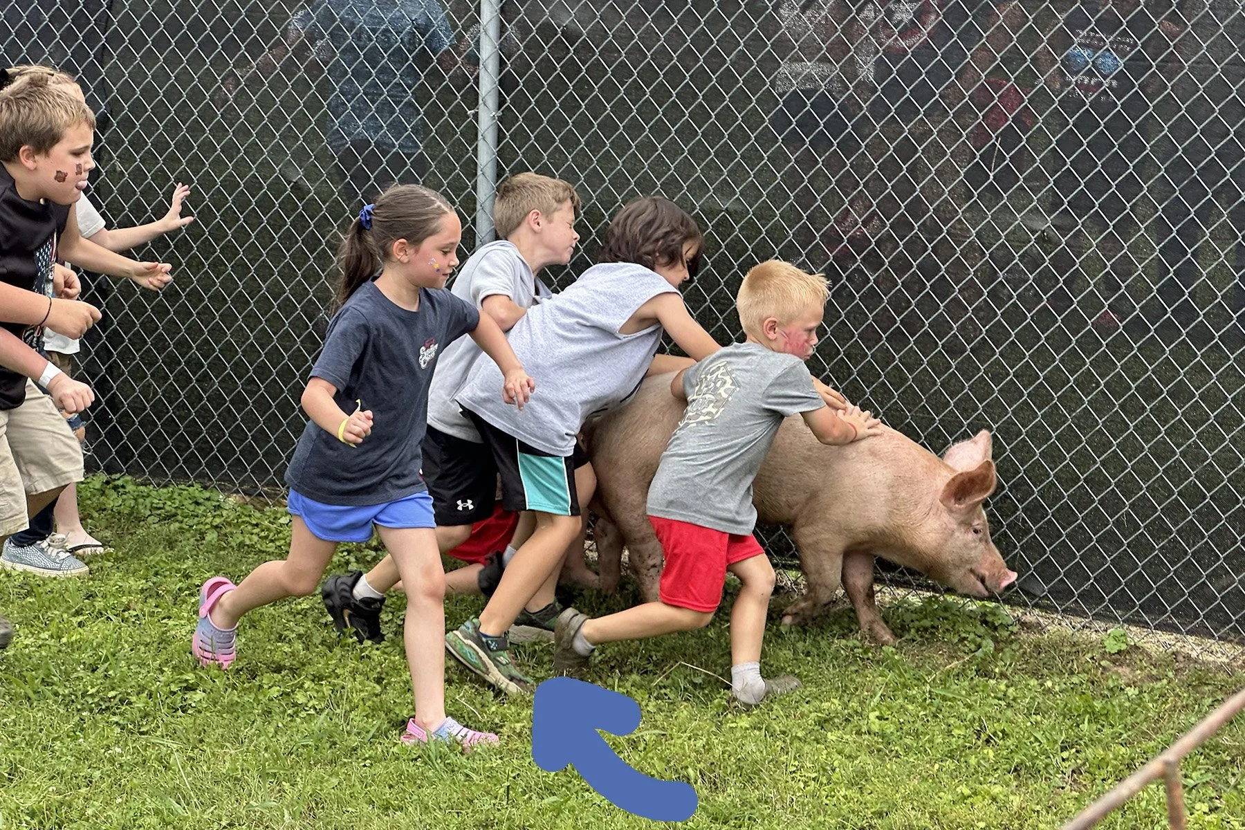 Summer Pig Contest3.jpg