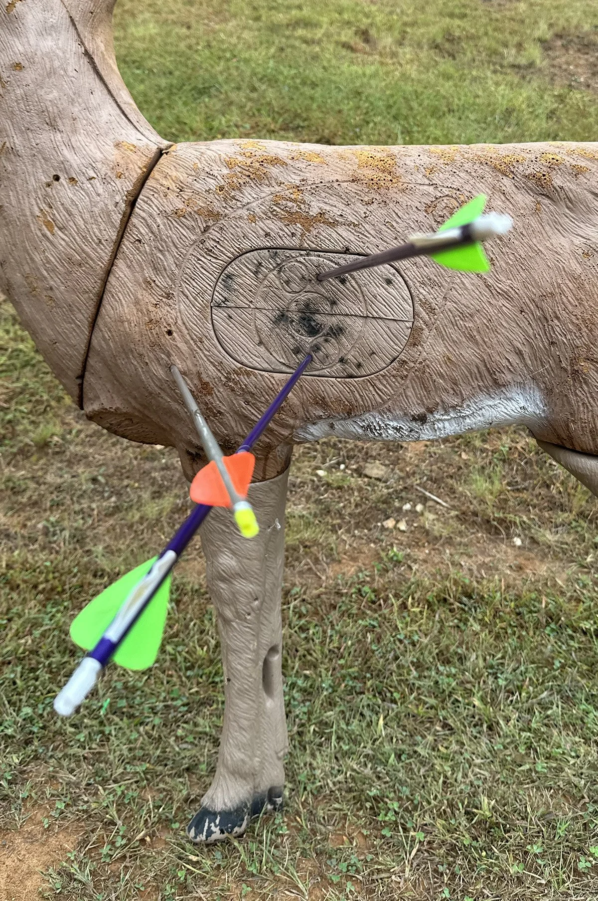 Shoot Straight 3D Target.jpg