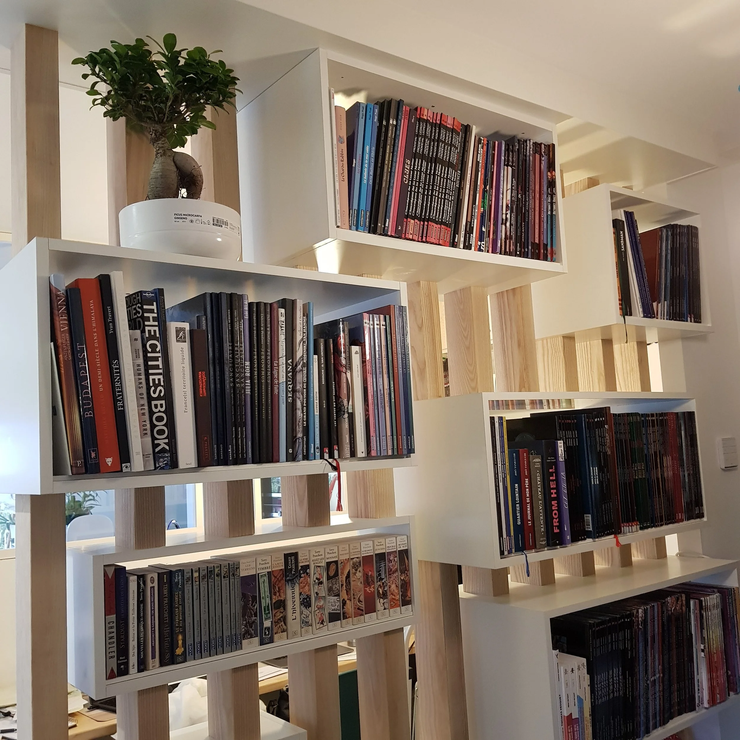 séparation en tasseaux et étagères intégrées blanches avec livres, aménagement sur mesure