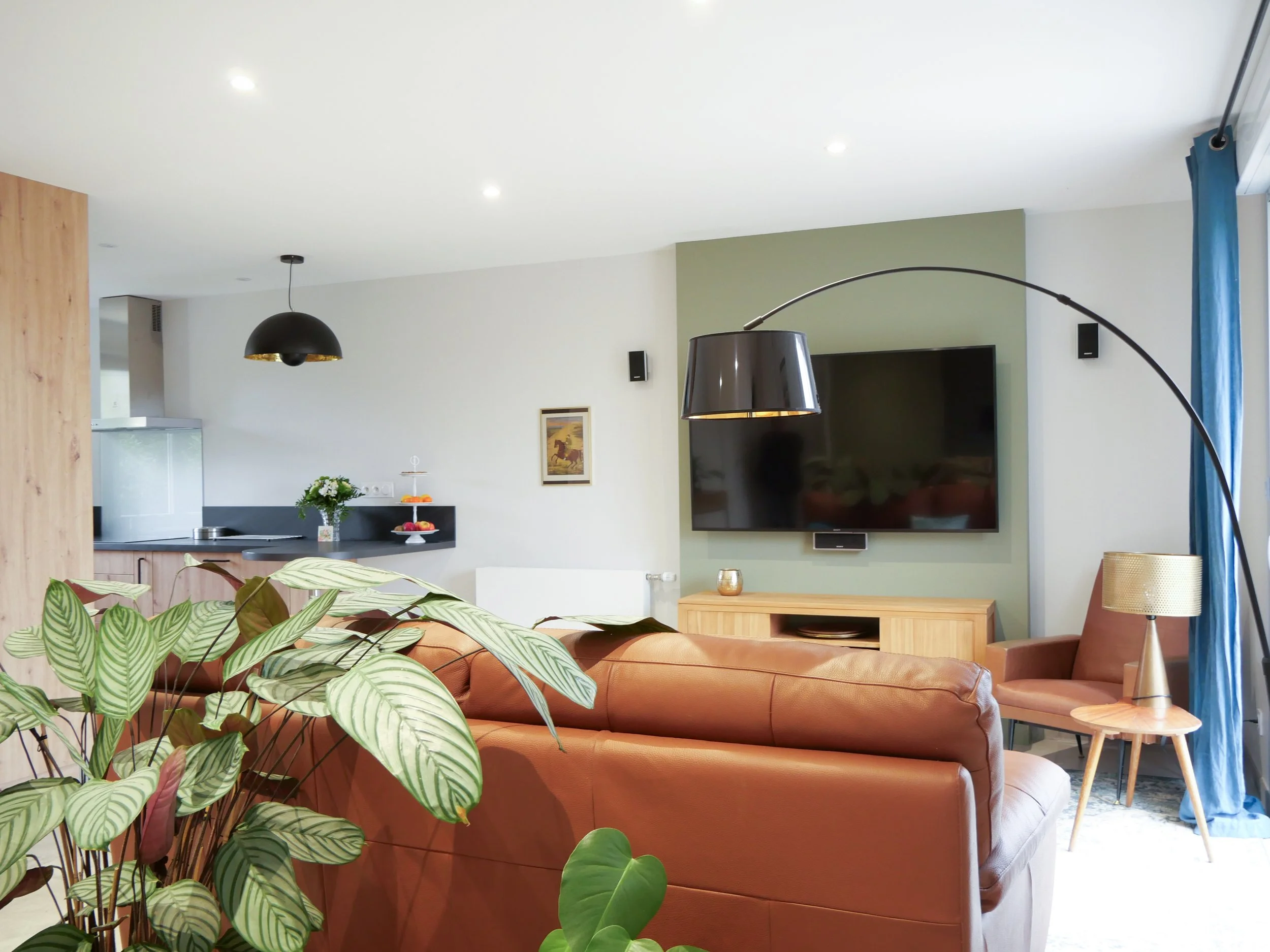 salon canapé marron, mur tv vert