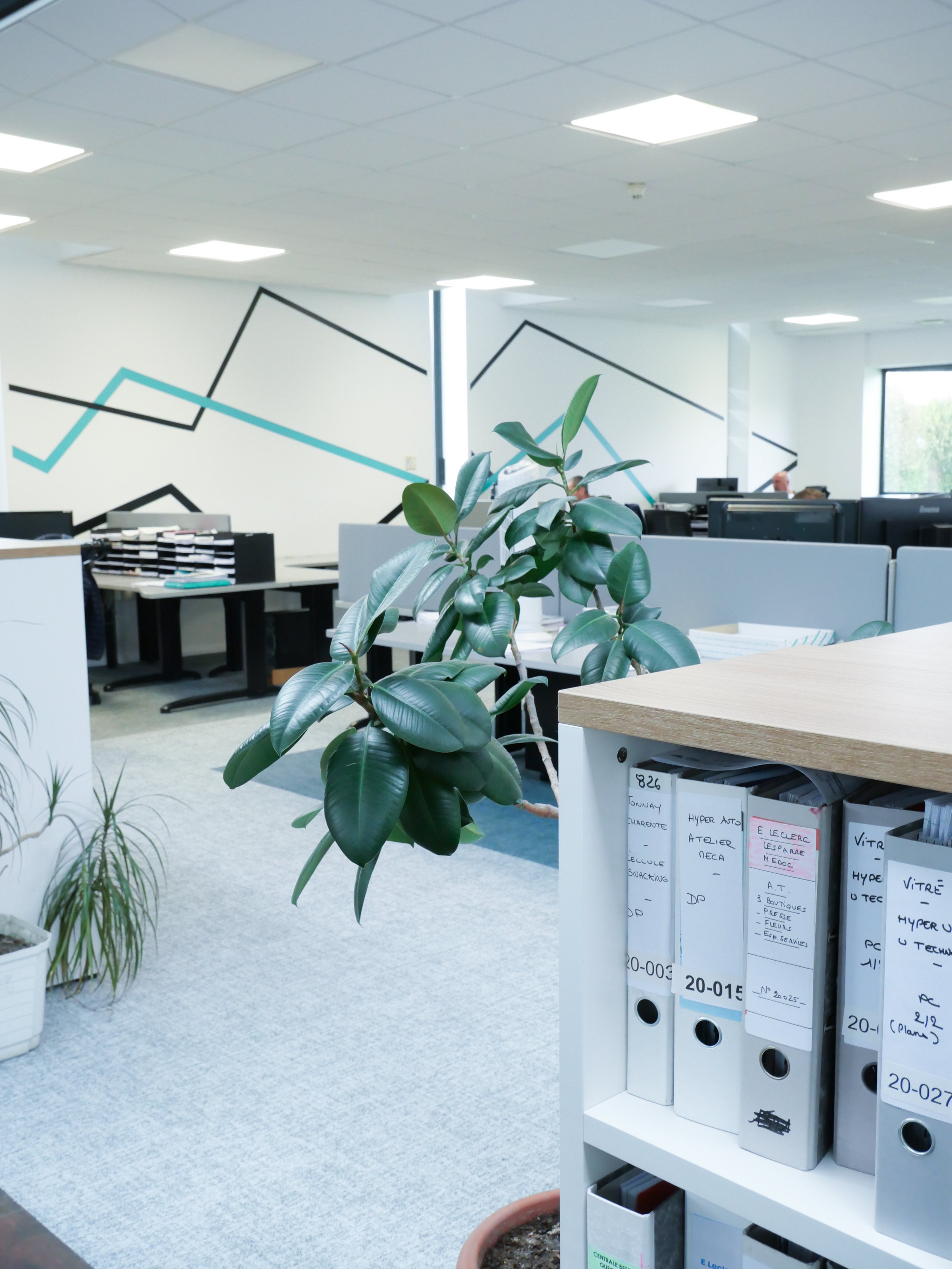 bureau dessinateurs - design au mur