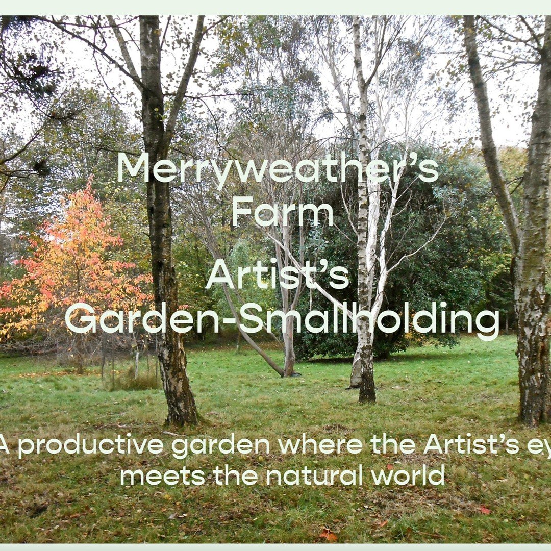 Our new website, www.morethanjustagarden.co.uk is published today. Still lots of work to do on it but also lots to look at.
Take a peak and say hello 😊
