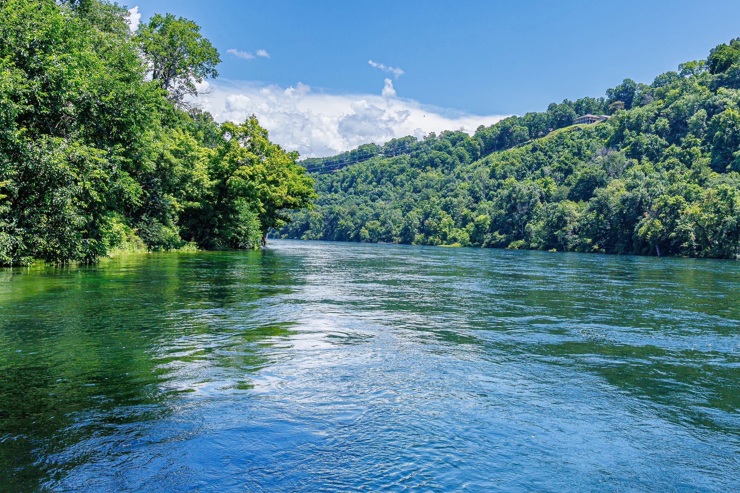 River Rd-17.jpg