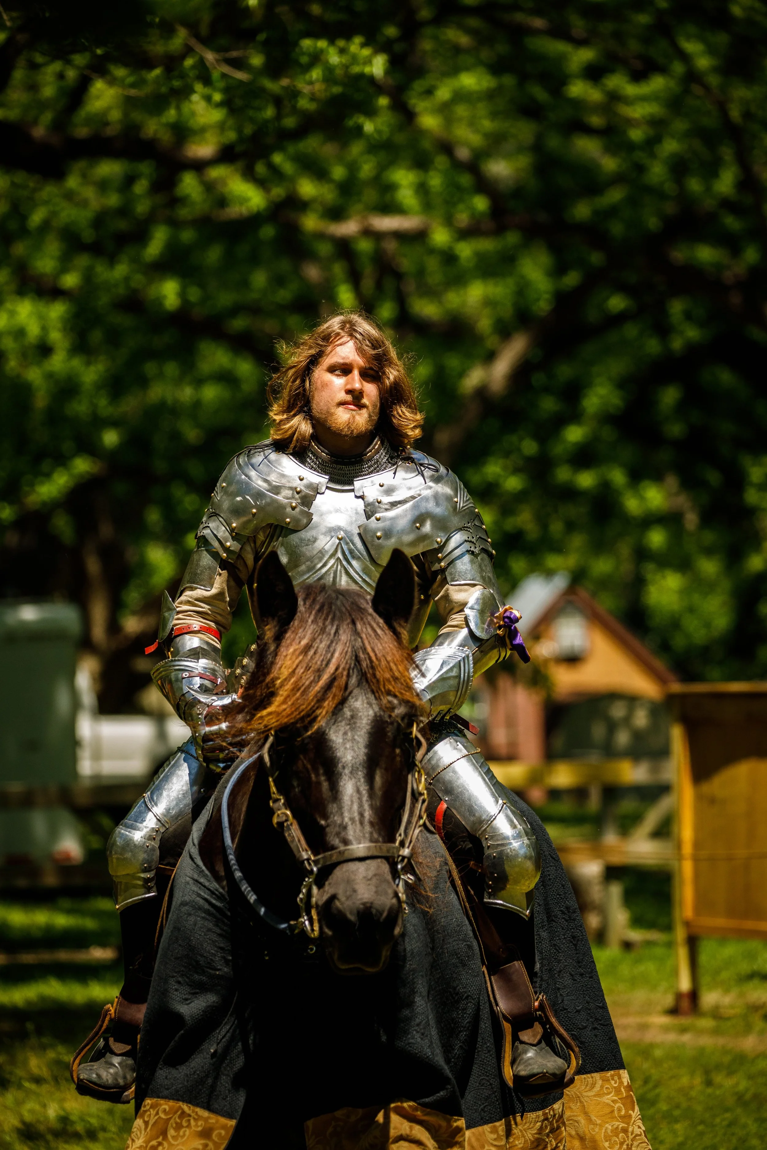 Image of a man with fabulous hair, clad in full armor sitting astride a beautiful chestnut horse. Blurred buildings and trees are visible in the background.