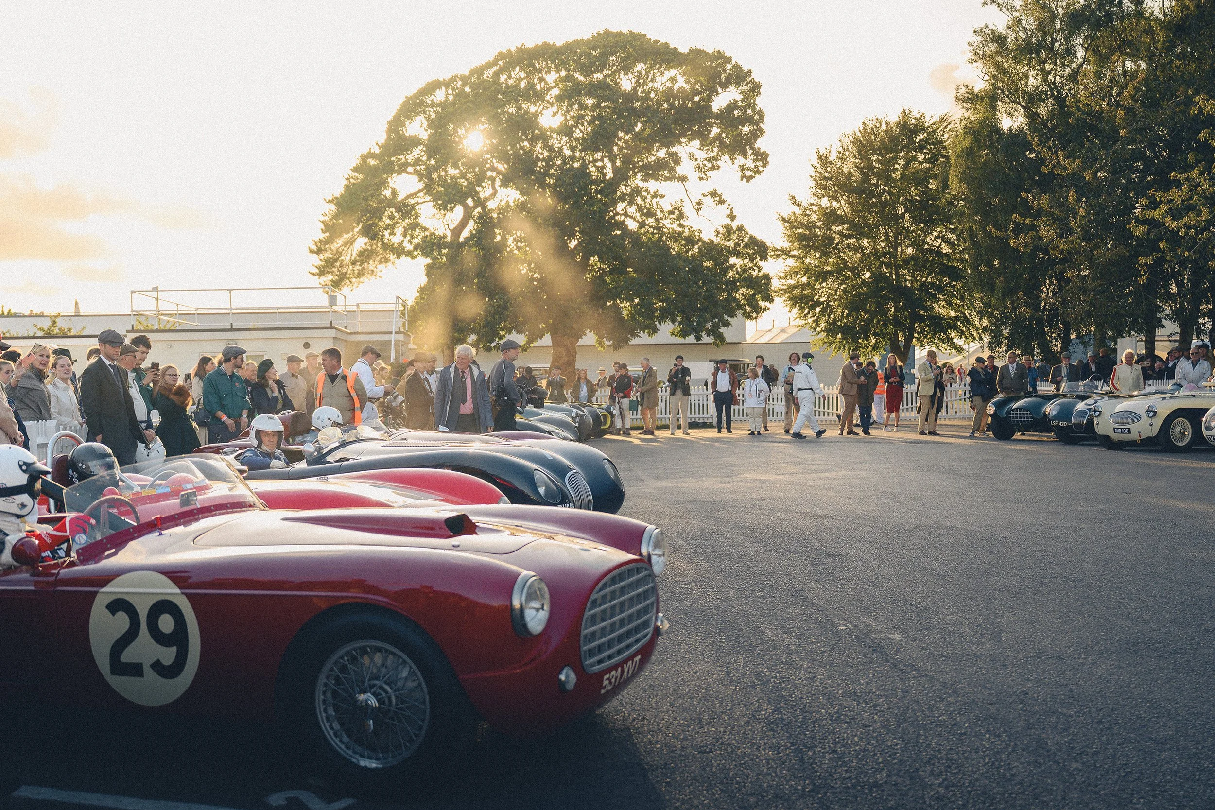 Vintage race cars parked on a street with a crowd of people gathered around, trees in the background, and the sun setting.