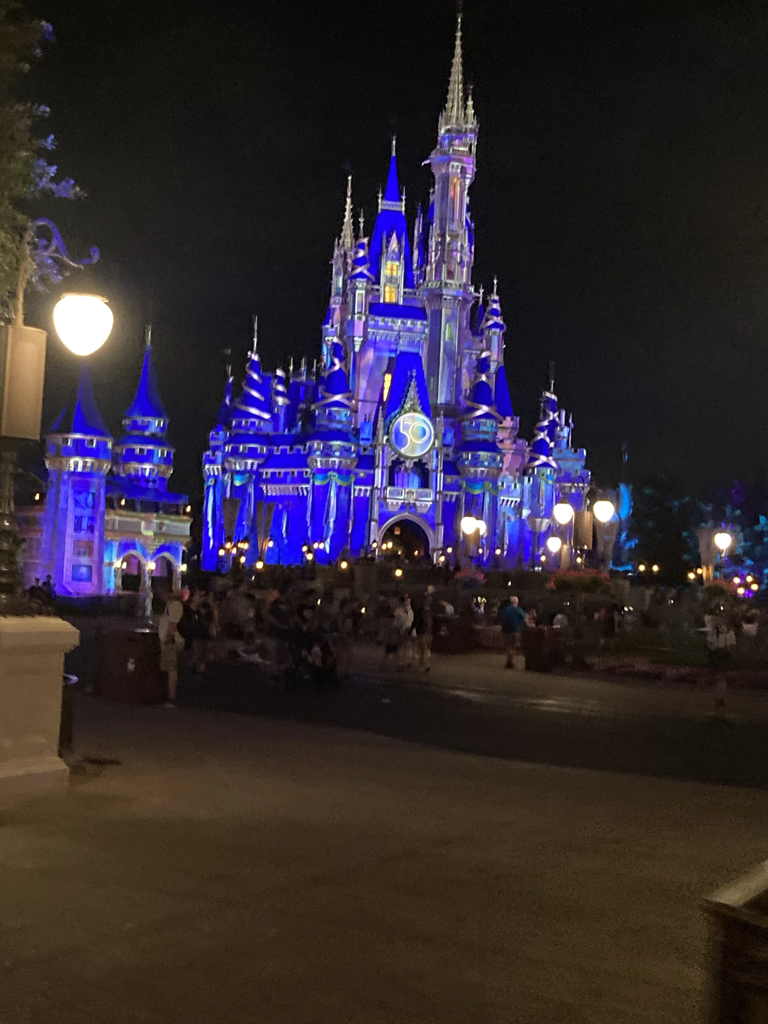 Disney World Castle in Orlando Florida