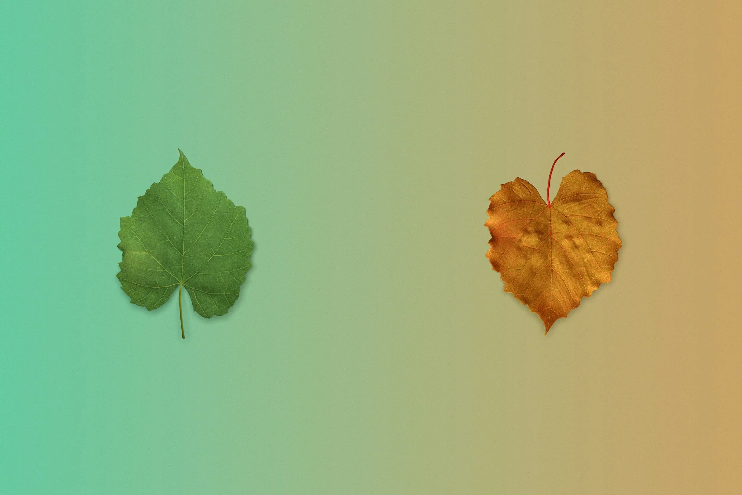Three Cultural Shifts That Reduce Leader Burnout