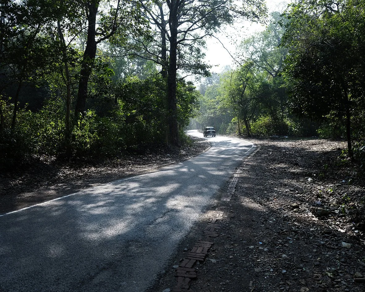 AADSCF0173.jpg