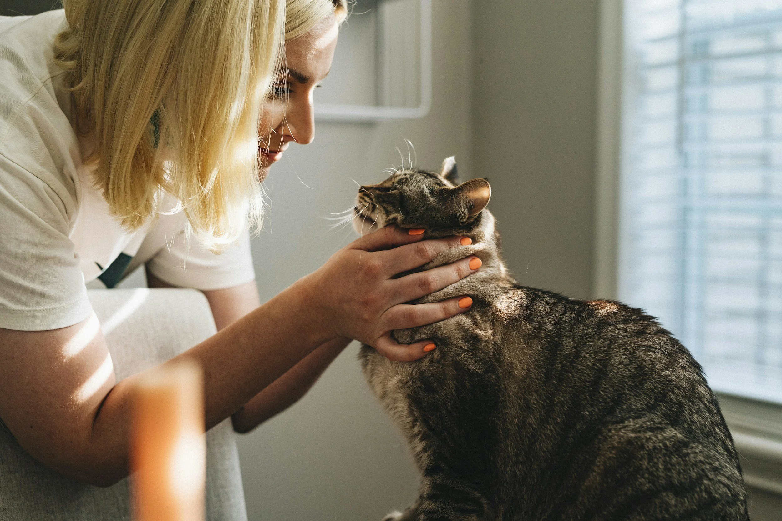 Compassion, Grief, &amp; Letting Go: Navigating A Pet's Terminal Diagnosis