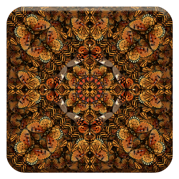 BFE-07