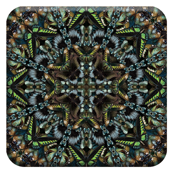 BFE-08