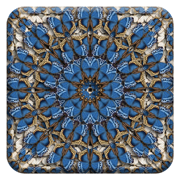 BFE-14