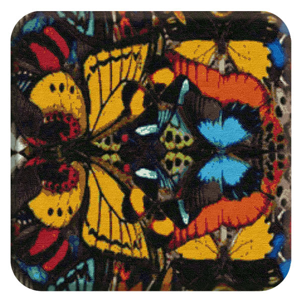 BUTTERFLY EFFECT