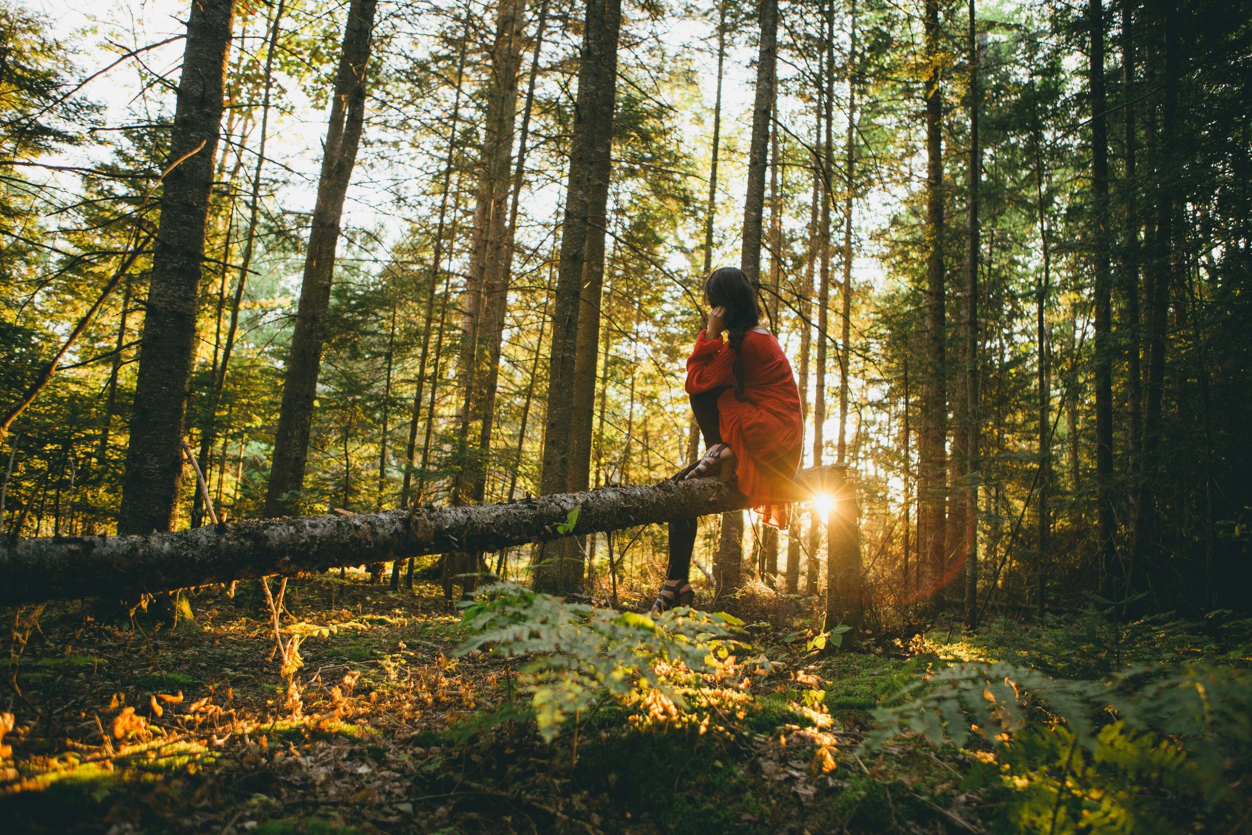 A woman sits peacefully in nature while practicing somatic work.Trauma therapy in Columbus, OH, can help you recognize survival mode responses and learn nervous system regulation.