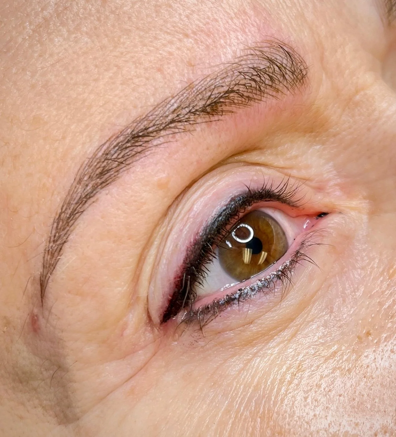 Close-up of a human eye with brown iris, natural eyelashes, and a well-groomed eyebrow.