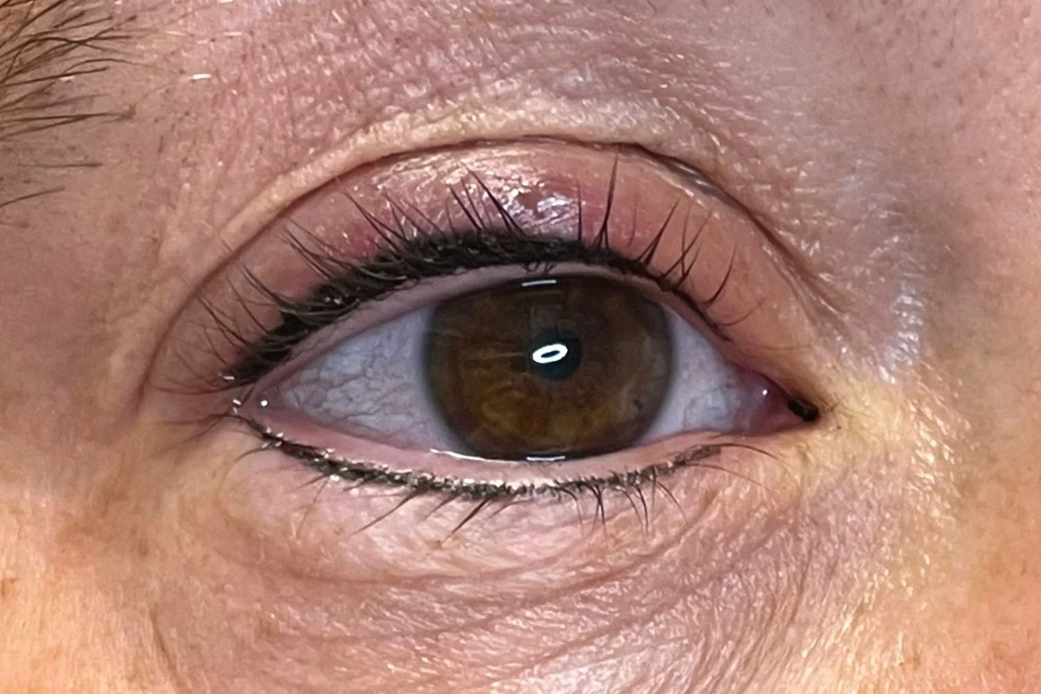 Close-up of a brown human eye with detailed iris, eyelid, and eyelashes.
