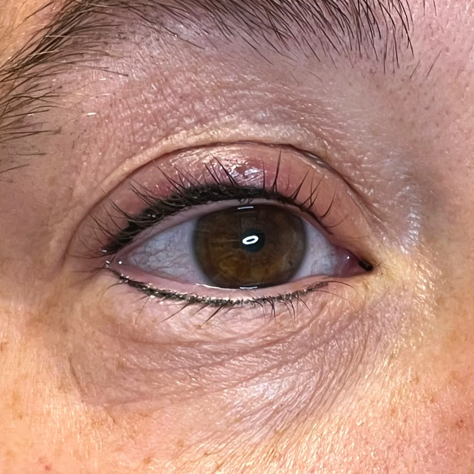 Close-up of a human eye with brown iris and detailed eyelashes.