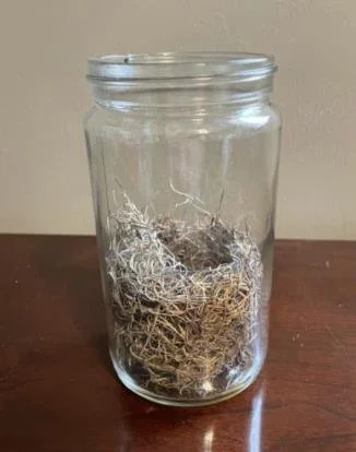 Glass Mason Jar (with or without moss)