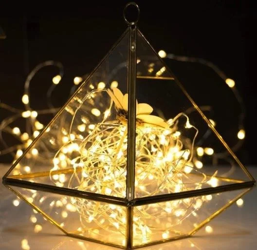 Fairy Lights- Cool or Warm Light