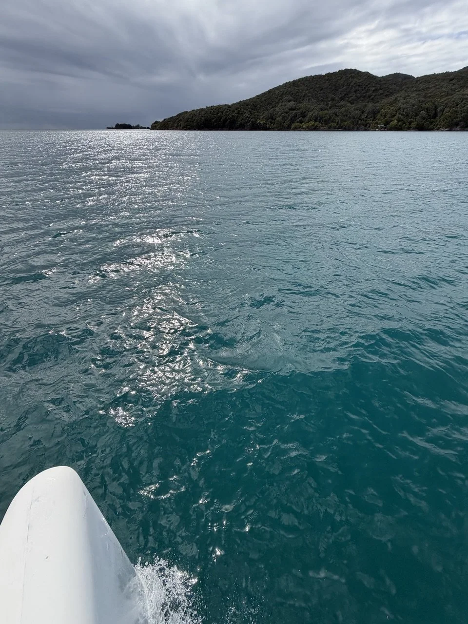 View from a boat on calm ocean water with a distant green, forested island and cloudy sky overhead.