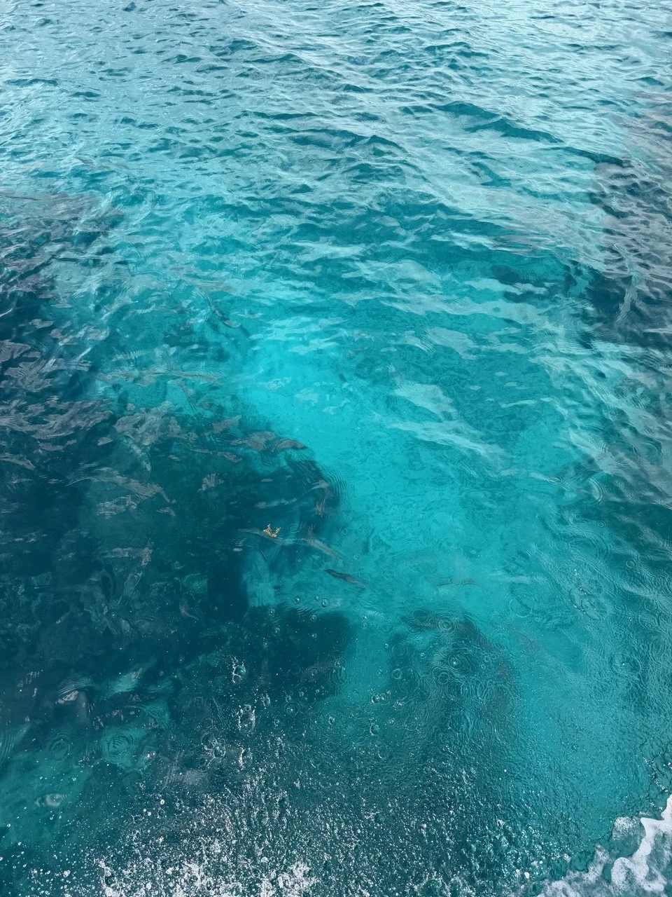Clear blue ocean water with a large shadow of a whale visible beneath the surface.