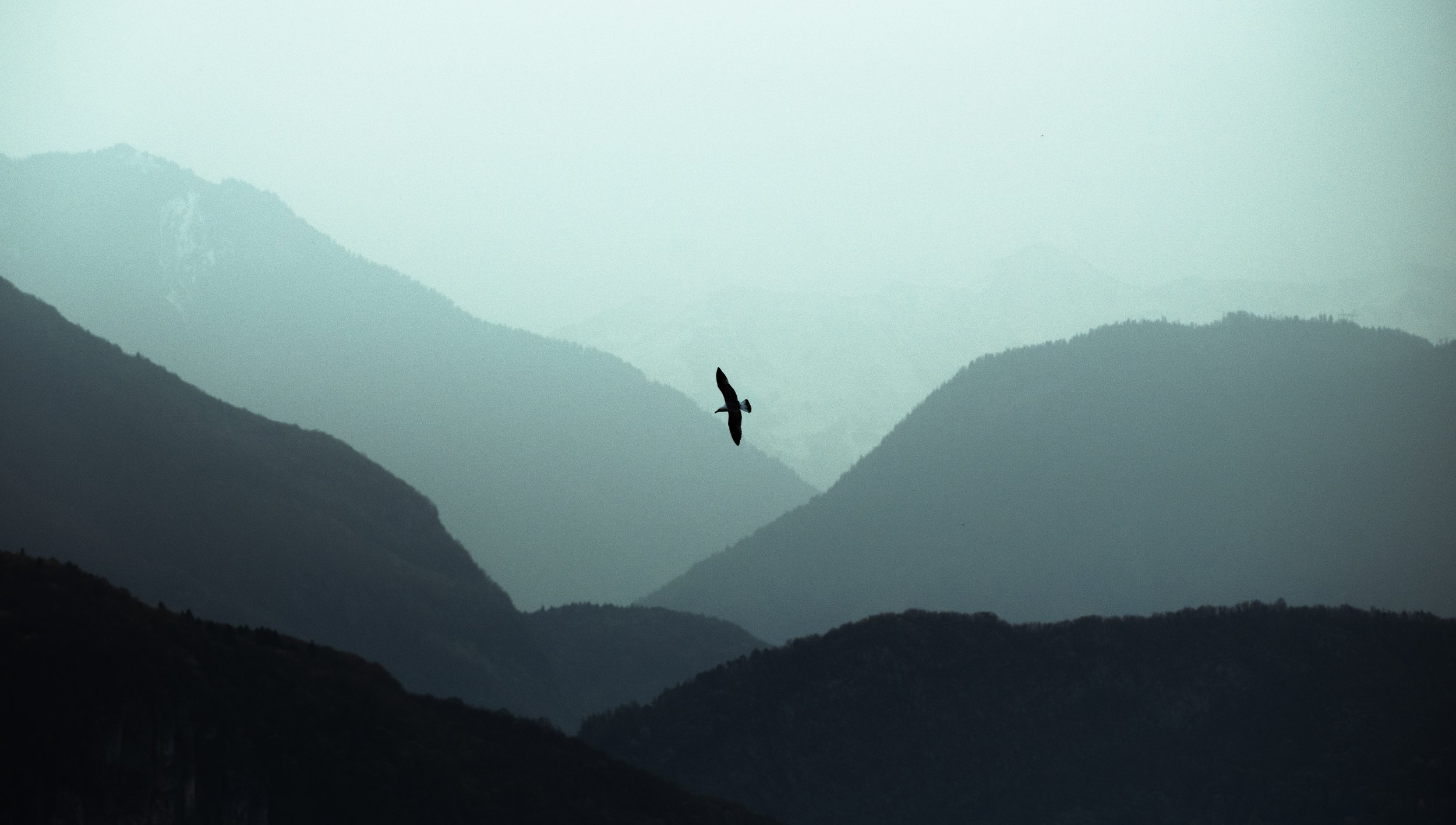 DSCF5173.jpg