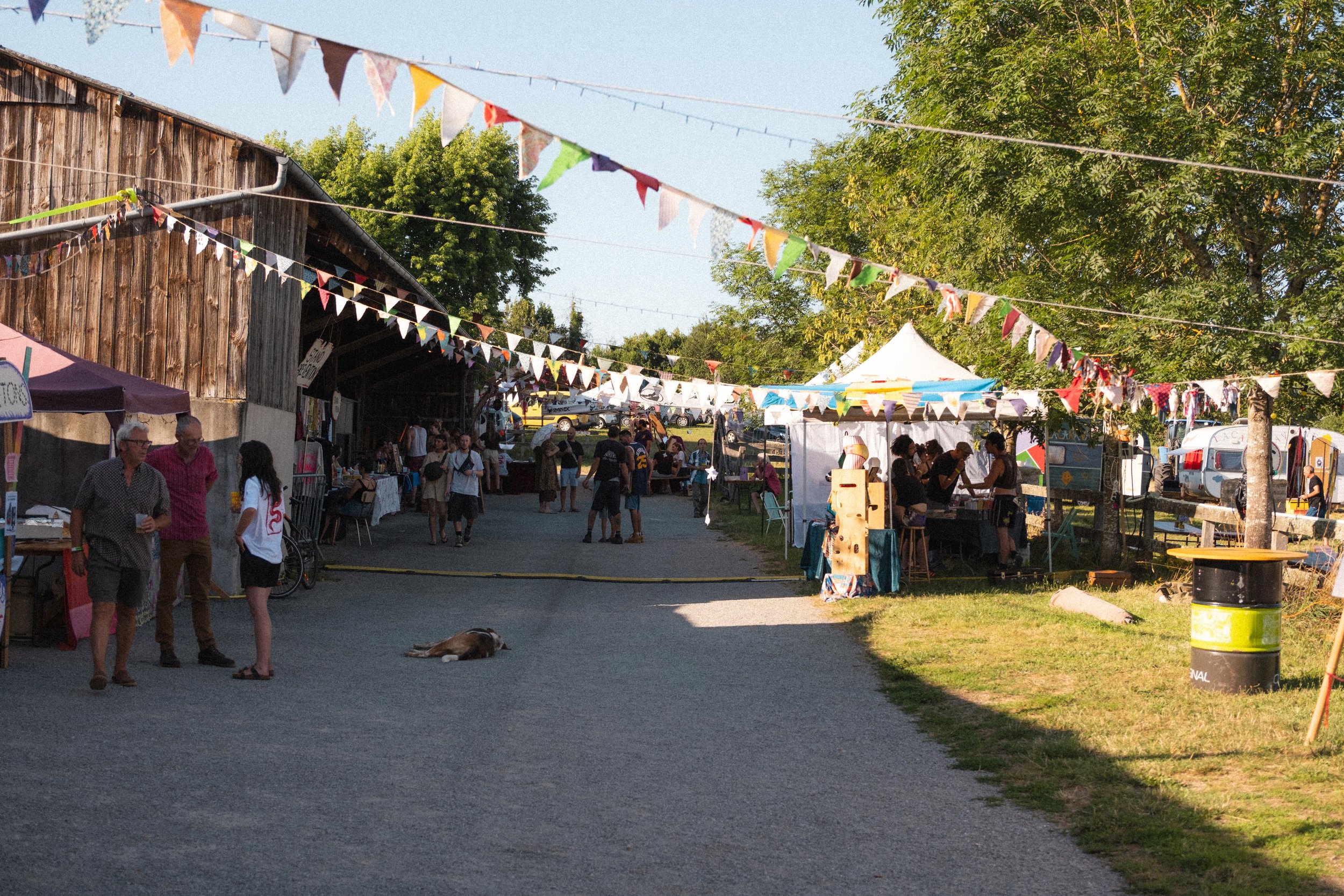 Une fête de village avec des stands, des gens qui parlent et un chien allongé au sol. Des banderoles colorées décorent la zone, entourée d'arbres verts et de voitures en arrière-plan.