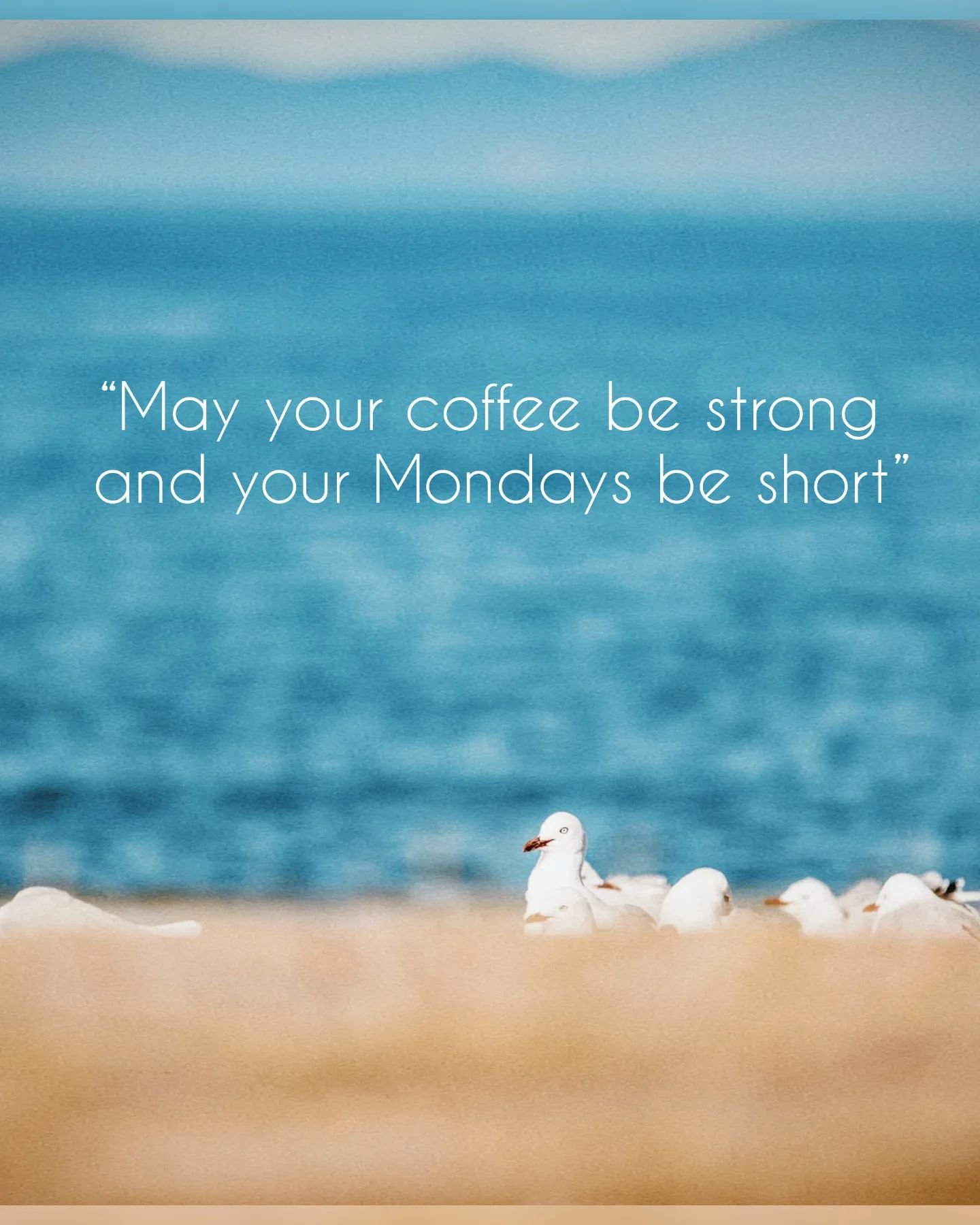 May your coffee be strong and your Mondays be short ⏰.

Here's to a beautifull  and positive week ahead! ✨

Need a productivity boost to design your website? Check out our template shop in this link: 💻https://www.mistwebsites.com/shop-templates  for