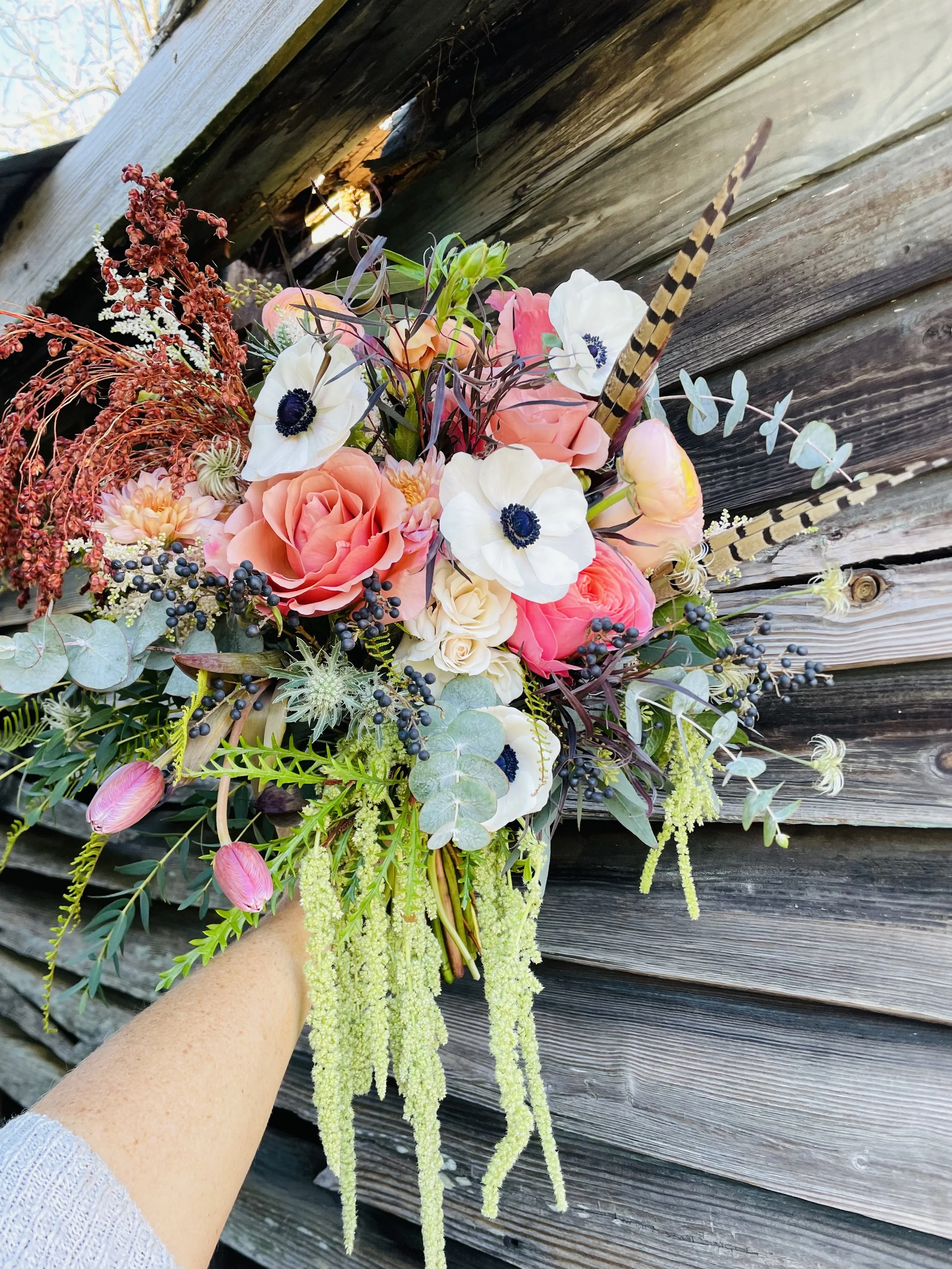 IMG_1165.jpeg