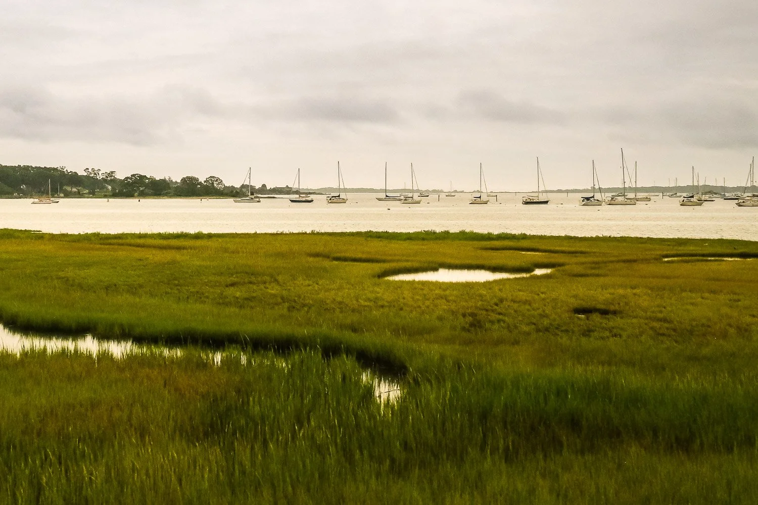 DSCF5725.jpg