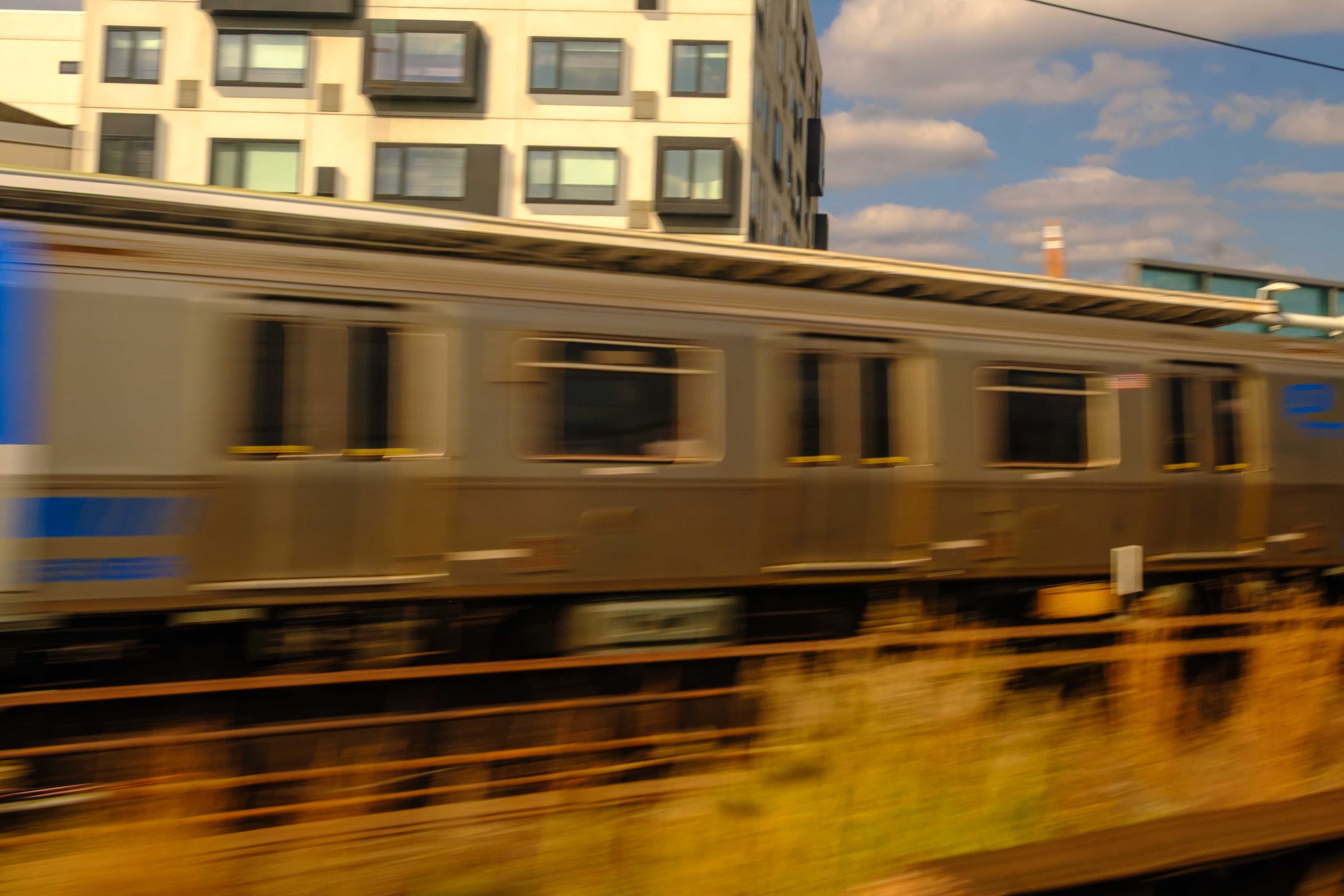 DSCF8726.jpg